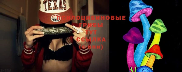 МДПВ Лагань