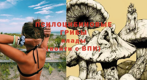 МДПВ Лагань