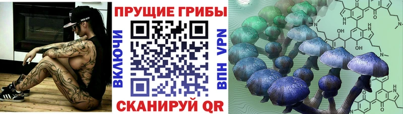 Купить где  Кирсанов  Псилоцибиновые грибы мухоморы 