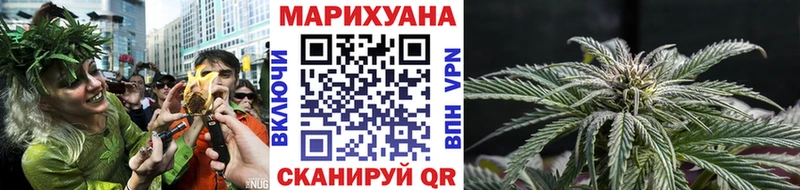 Конопля сатива  Купить закладки  Кирсанов 